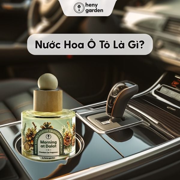 Hướng Dẫn Chọn Nước Hoa Ô Tô Phù Hợp  Hiệu Quả